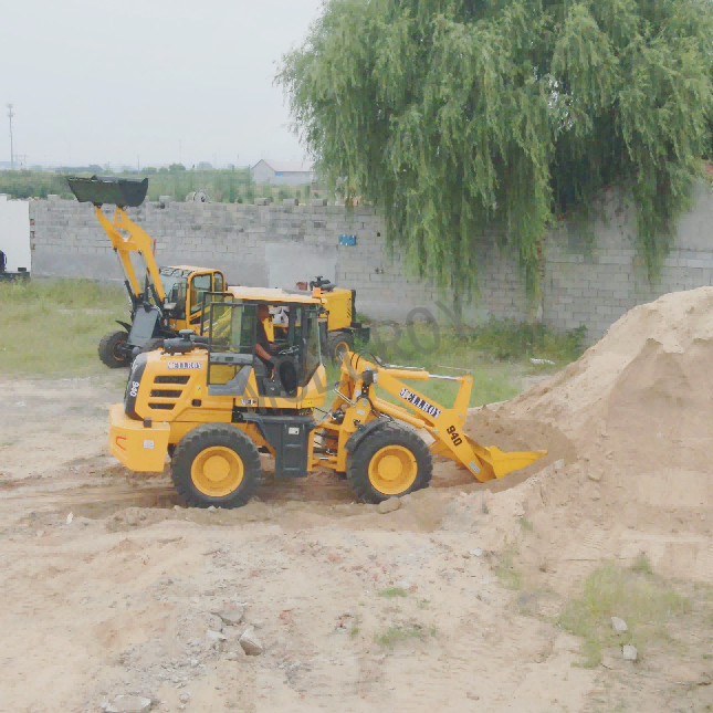 Wheel Shovel Compact Wheel Loaders Tire 1670-24 2560mm Axle Base